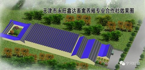 巾幗風(fēng)采 | 天津市巾幗現(xiàn)代農(nóng)業(yè)科技示范基地--天津市永旺鑫達(dá)畜禽養(yǎng)殖專業(yè)合作社